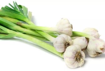 Ail frais botte Bio